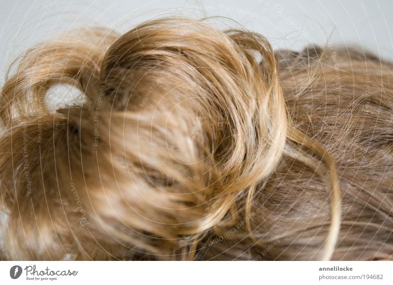 hochgesteckt Mensch feminin Leben Kopf Haare & Frisuren blond langhaarig Locken Behaarung Hochsteckfrisur hochstecken Wuschelkopf natürlich schön elegant