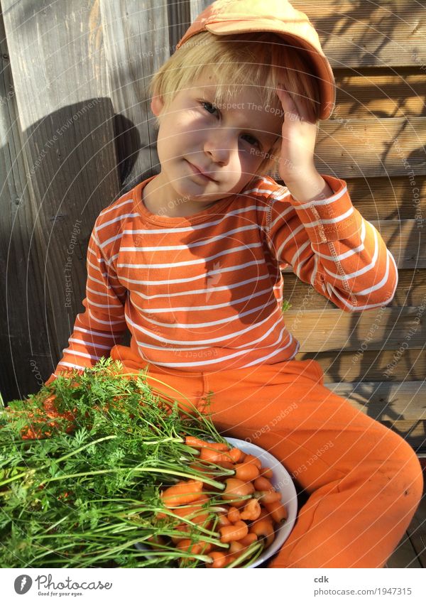 Kindheit | eigene Ernte - klein aber fein! Herbst Schönes Wetter Möhre authentisch frisch lecker orange Farbfoto Außenaufnahme Tag Licht Schatten Porträt Blick