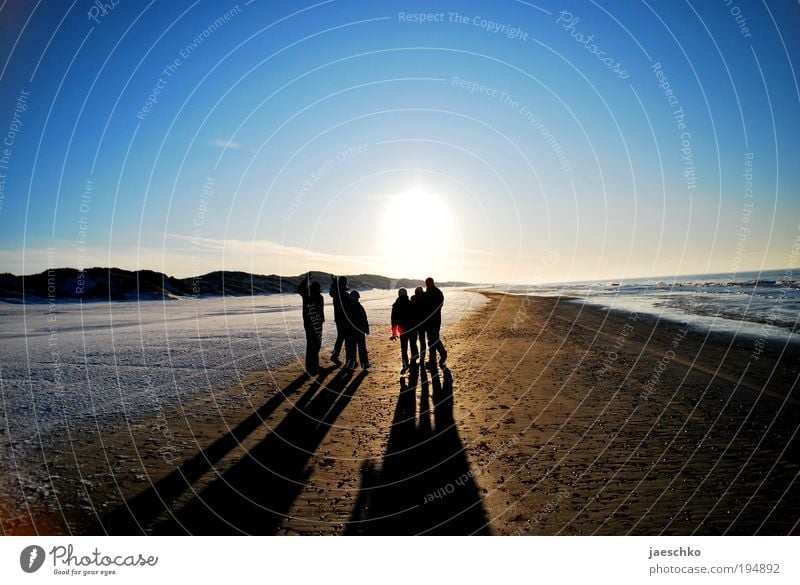 Sonnenfreunde Wohlgefühl Erholung Strand Winterurlaub Erfolg Freundschaft 6 Mensch Menschengruppe Natur Wolkenloser Himmel Sonnenlicht Klima Schönes Wetter frei