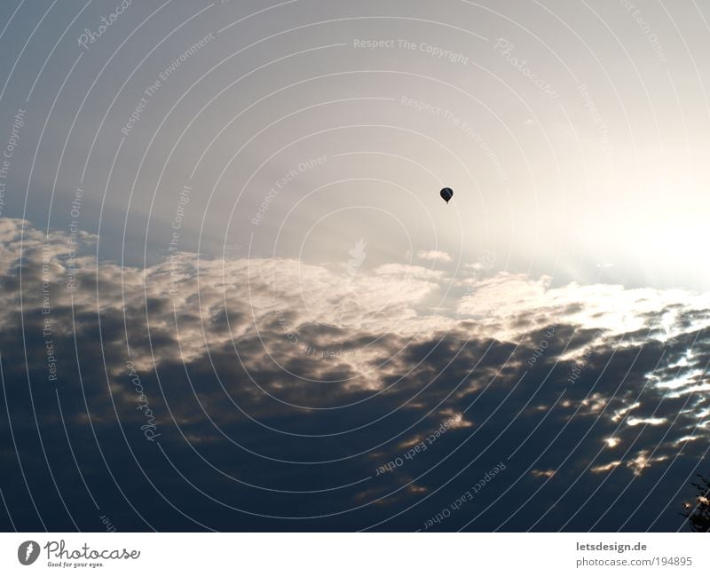 Über den Wolken Landschaft Luft Himmel nur Himmel Verkehrsmittel Luftverkehr Ballone beobachten fliegen Ferne Unendlichkeit blau Perspektive Farbfoto