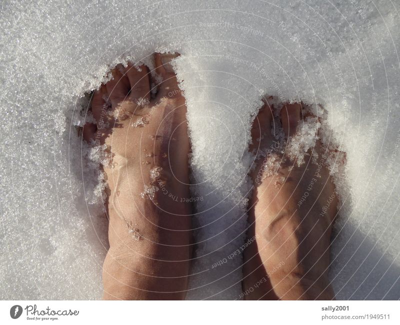 Abkühlung... Haut Pediküre feminin Fuß 1 Mensch Urelemente Winter Eis Frost Schnee frieren Coolness kalt nackt weiß Tapferkeit Selbstbeherrschung Klima Kühlung