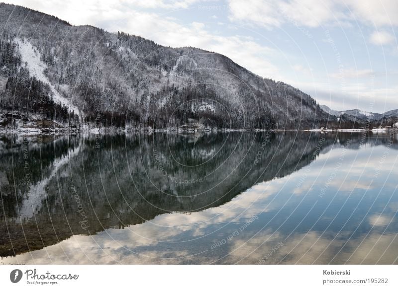 Hintersee Tourismus Winter Berge u. Gebirge Natur Landschaft Wasser Wolken Eis Frost Seeufer Erholung genießen Sauberkeit Zufriedenheit schön Einsamkeit