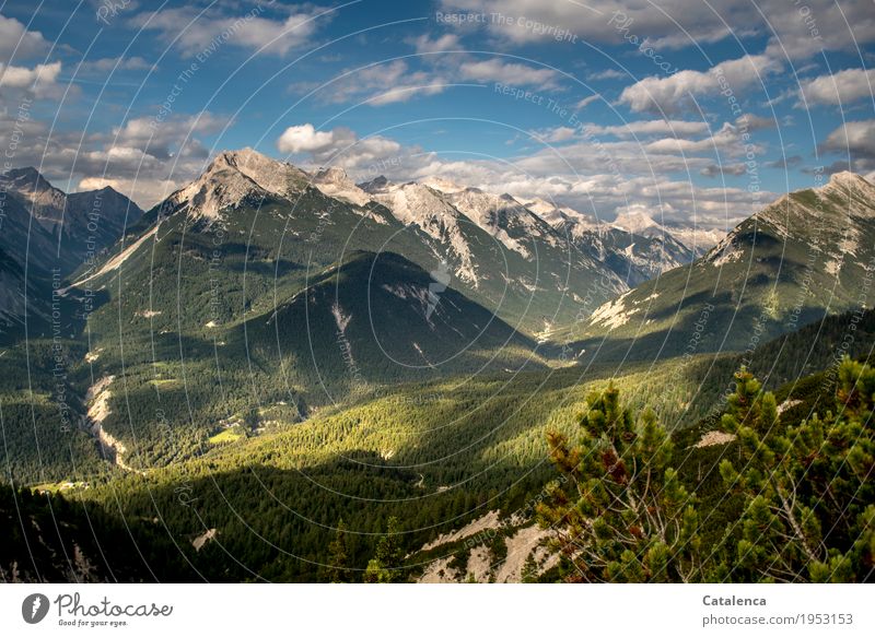 Zwischen Täler, Alpenlandschaft Freiheit Berge u. Gebirge wandern Natur Landschaft Pflanze Himmel Wolken Horizont Sommer Latschenkiefer Karwendelgebirge