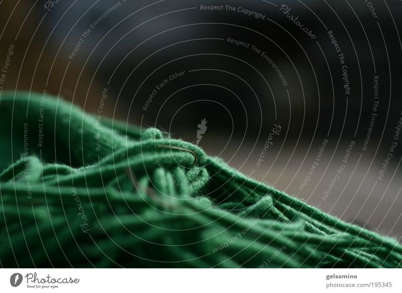 Ins Detail gehen Stoff Schal Souvenir Fröhlichkeit grün Farbfoto Außenaufnahme Menschenleer Textfreiraum rechts Textfreiraum oben Tag Sonnenlicht