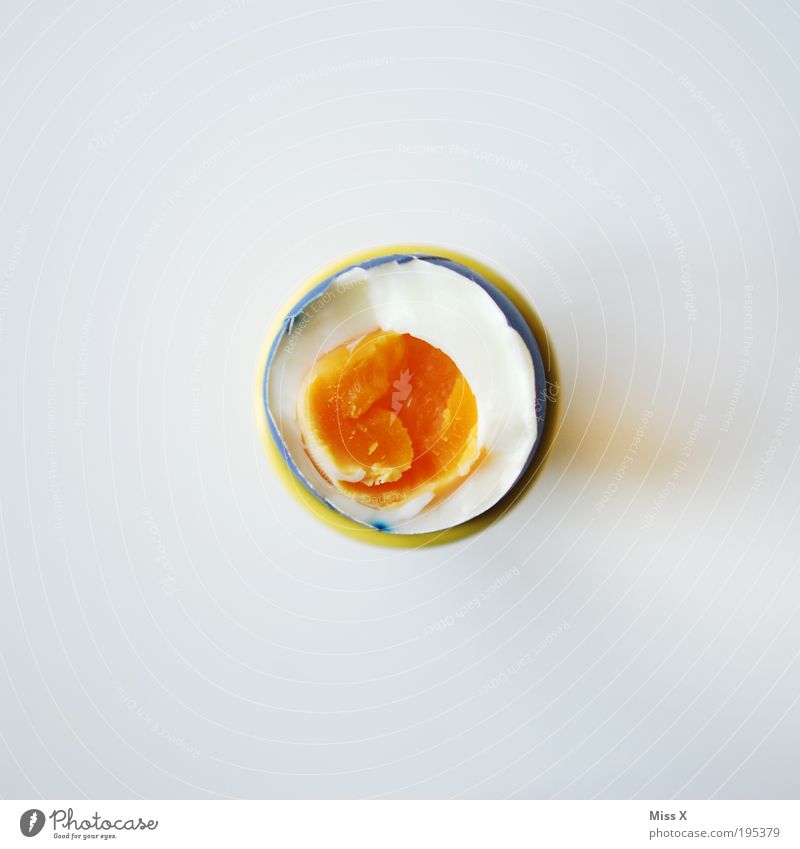Osterei Lebensmittel Frühstück Bioprodukte lecker rund Ei Eiklar Eigelb Freisteller Farbfoto mehrfarbig Studioaufnahme Nahaufnahme Menschenleer