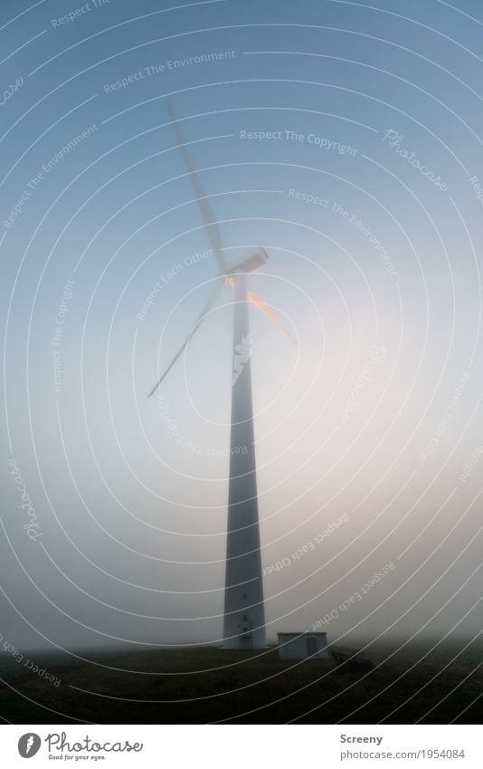 Der weiße Riese Technik & Technologie Energiewirtschaft Erneuerbare Energie Windkraftanlage Umwelt Himmel Herbst Nebel Feld groß hoch Umweltschutz Farbfoto