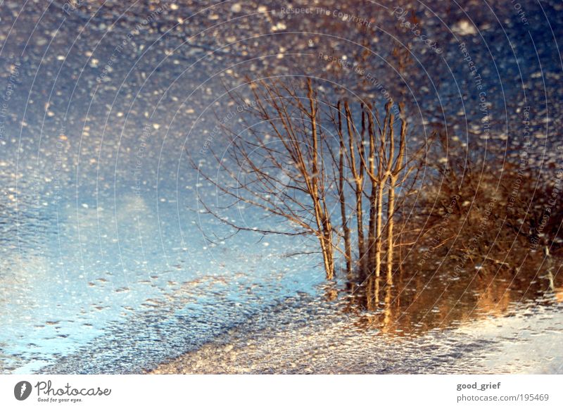 bis zum nächsten... Umwelt Natur Himmel Herbst Winter Klima Wetter Schönes Wetter schlechtes Wetter Regen Baum Blatt Grünpflanze Park Moor Sumpf Teich entdecken