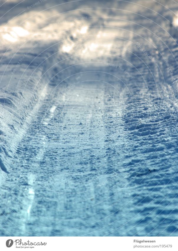Ein Tag im Januar 2535! Ferien & Urlaub & Reisen Winter Schnee Winterurlaub Skier Umwelt Natur Klima Klimawandel Wetter schlechtes Wetter entdecken frieren Jagd