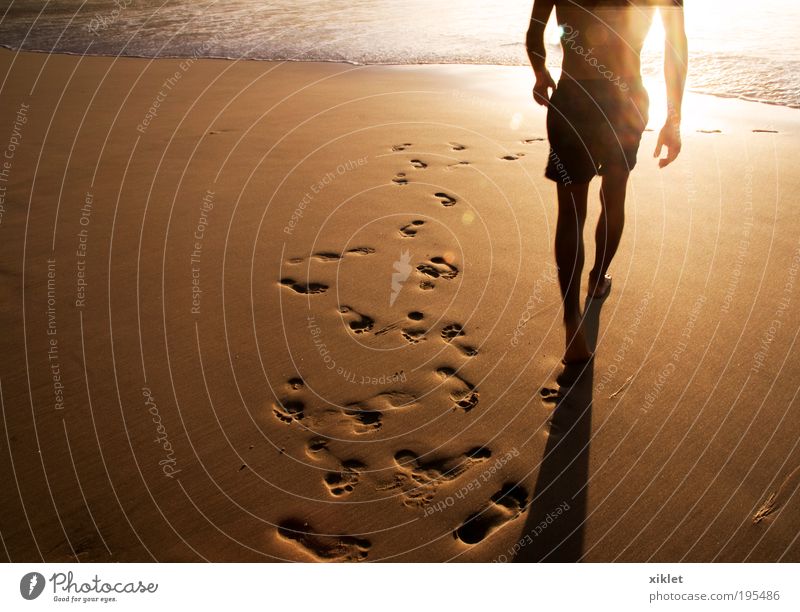 Spaziergang am Strand maskulin Junger Mann Jugendliche 18-30 Jahre Erwachsene Natur Sonne Sommer Bewegung gehen laufen einfach lustig natürlich Wärme Coolness