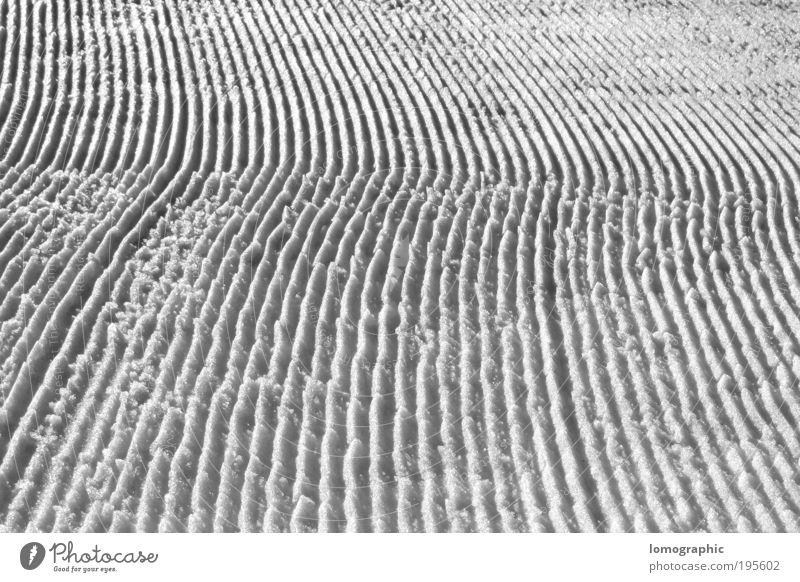Schwarze Piste - No. 8 Wintersport Skipiste Natur Landschaft Schnee kalt Spuren gespurt Schwarzweißfoto Außenaufnahme Strukturen & Formen Kontrast Sonnenlicht