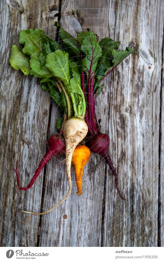 Rote, orange und gelbe rote Rüben Lebensmittel Gemüse Ernährung Essen Bioprodukte Vegetarische Ernährung Gesundheit Gesunde Ernährung Tisch Pflanze Nutzpflanze
