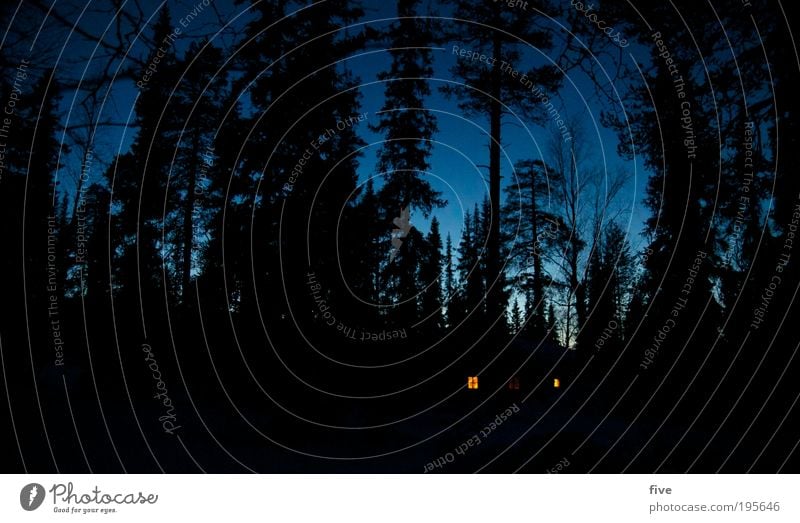 waldhütte Ferien & Urlaub & Reisen Ausflug Ferne Winter Winterurlaub Natur Landschaft Pflanze Baum Wald Häusliches Leben dunkel gruselig blau Lappland Finnland