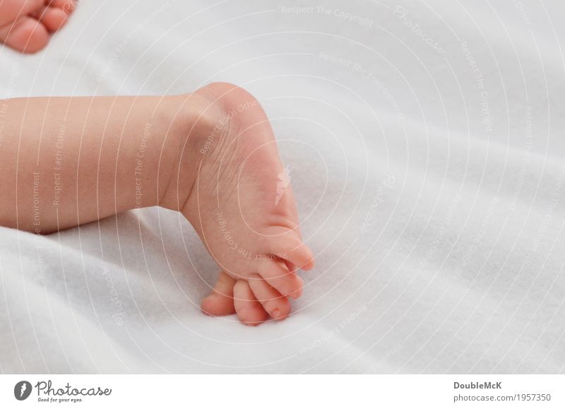 Babyfuß mit kleinen Zehen Mensch Haut Beine Fuß 1 0-12 Monate krabbeln liegen nackt niedlich rosa weiß Freude Kraft Mut Tatkraft Bewegung Energie Kindheit