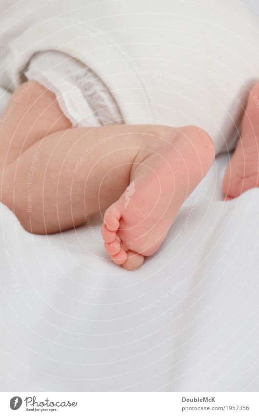 Babyfüße beim Krabbeln Mensch Haut Beine Fuß Zehen 1 0-12 Monate Bewegung krabbeln liegen klein nackt niedlich Wärme rosa weiß Freude Energie Kindheit