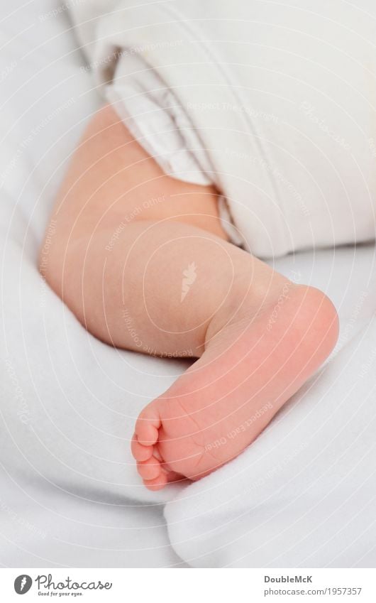 Babybeinchen Mensch Haut Beine Fuß Zehen 1 0-12 Monate Bewegung krabbeln liegen klein nackt niedlich Wärme rosa weiß Freude Energie Kindheit Lebensfreude