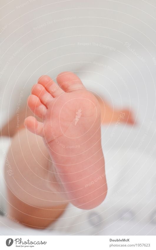 Babyfuß mit kleinen Zehen Mensch Haut Fuß 1 0-12 Monate Bewegung liegen nackt niedlich Wärme weich rosa weiß Stimmung Freude Zufriedenheit Lebensfreude Kindheit