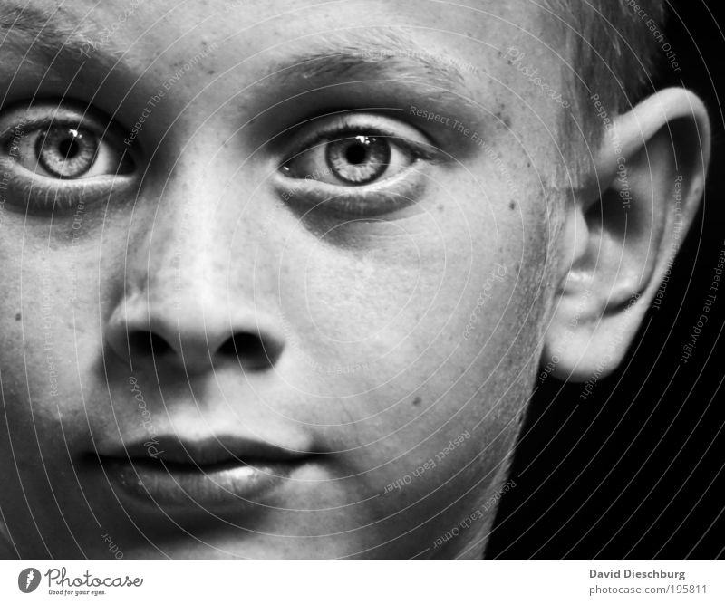 Daydreamer Mensch Junge Kindheit Haut Kopf Gesicht Auge Ohr Nase Mund Lippen 1 8-13 Jahre authentisch Pupille Schwarzweißfoto Kontrast Porträt Blick Grauwert