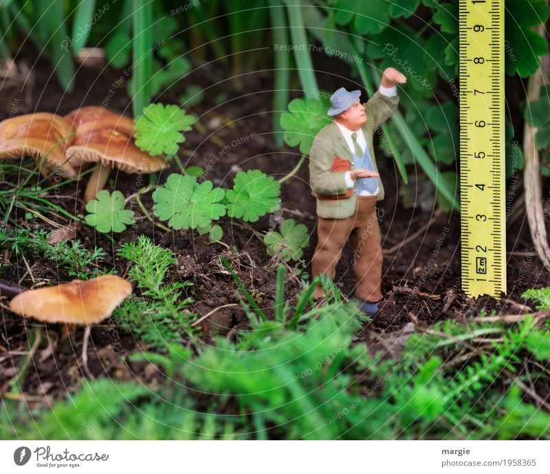 Miniwelten - Größenvergleich Gartenarbeit Landwirtschaft Forstwirtschaft Messinstrument Mensch maskulin Mann Erwachsene 1 Pflanze Tier Gras Sträucher Blatt