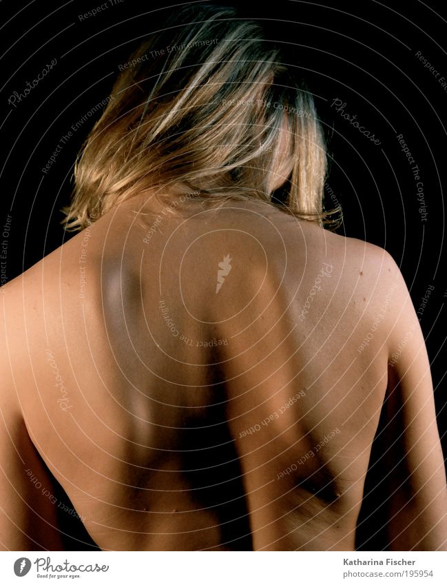 Starker Rücken Körper Haut Mensch androgyn Kopf Arme 1 ästhetisch blond Gesundheit muskulös nackt natürlich stark braun Haarsträhne Rückenschule Rückenschmerzen