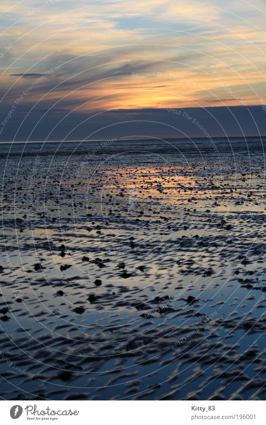 Sonnenuntergang im Wattenmeer Landschaft Urelemente Wasser Himmel Horizont Nordsee Meer Büsum Erholung träumen fantastisch Unendlichkeit nachhaltig nass