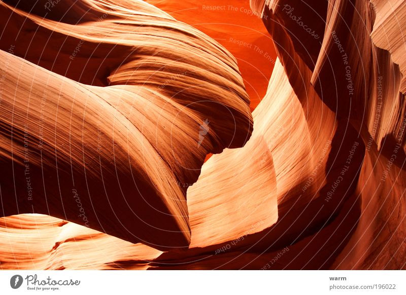 Antelope Canyon Natur Erde Schlucht braun gelb rot Kraft Leidenschaft ruhig Farbfoto Außenaufnahme Menschenleer Tag Licht Schatten Kontrast Lichterscheinung