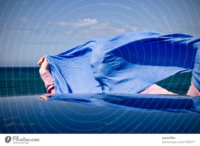 Profilwindhose Sommerurlaub Sonne Meer 1 Mensch Schönes Wetter Wind Sturm Schal authentisch Fröhlichkeit lustig verrückt blau Lebensfreude Abdruck gesichtslos