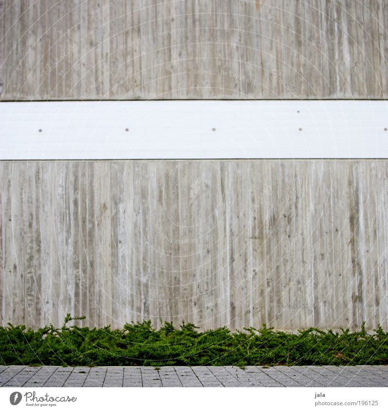 beton Pflanze Sträucher Grünpflanze Bauwerk Gebäude Architektur Mauer Wand Fassade eckig einfach grau grün weiß Beton Pflastersteine Farbfoto Außenaufnahme