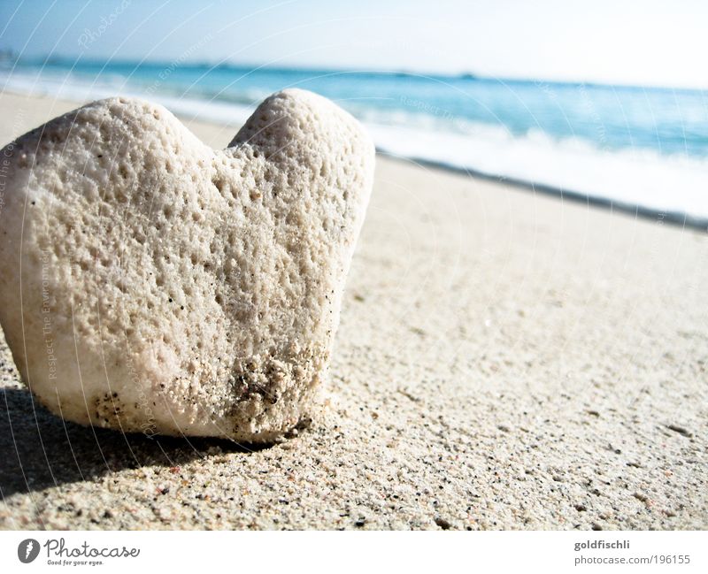 Heartland Ferien & Urlaub & Reisen Natur Stein Sand Stimmung Liebe Bali Farbfoto Außenaufnahme Menschenleer Morgen Tag