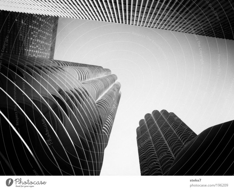 Maiskolben in schwarz-weiß Stadtzentrum Menschenleer Hochhaus Bauwerk Sehenswürdigkeit Wahrzeichen bedrohlich Symmetrie Chicago Strukturen & Formen marina city