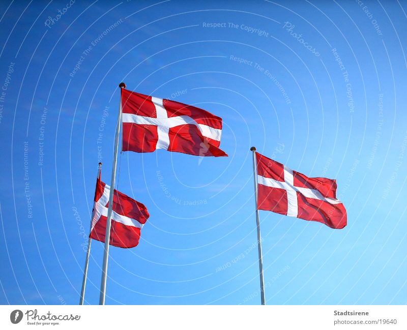Flaggen im Wind Ferien & Urlaub & Reisen Sommer Himmel Verkehr Fahne rot weiß Ausland Dänemark Blauer Himmel Dannebrog Farbfoto Außenaufnahme Tag