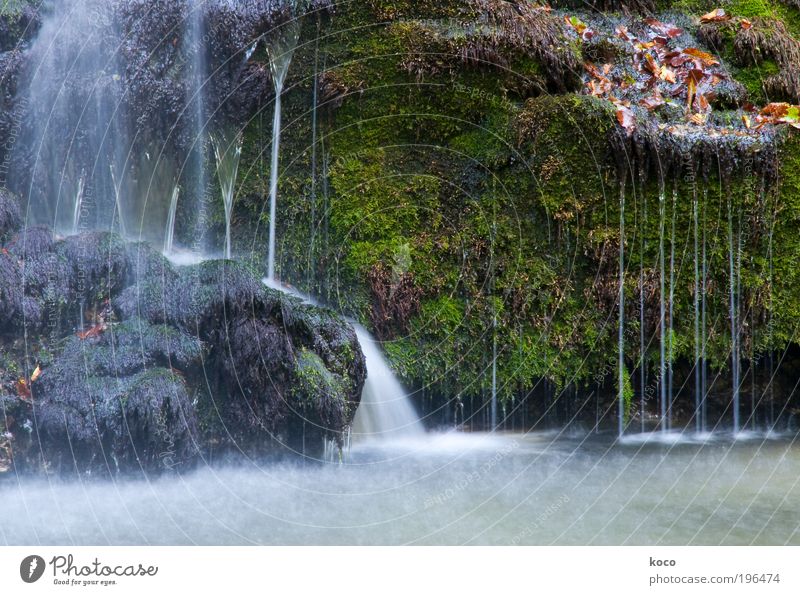 Wasserfall Natur Sommer Herbst Moos Wald Urwald Flussufer nass schön braun grau grün Farbfoto Außenaufnahme Menschenleer Tag Bewegungsunschärfe Totale