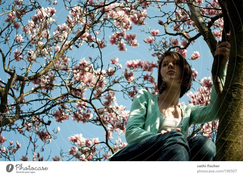 frühlingsgefühle Zufriedenheit Freiheit Mensch feminin Junge Frau Jugendliche 1 Natur Wolkenloser Himmel Frühling Schönes Wetter Baum Blüte Jeanshose Jacke