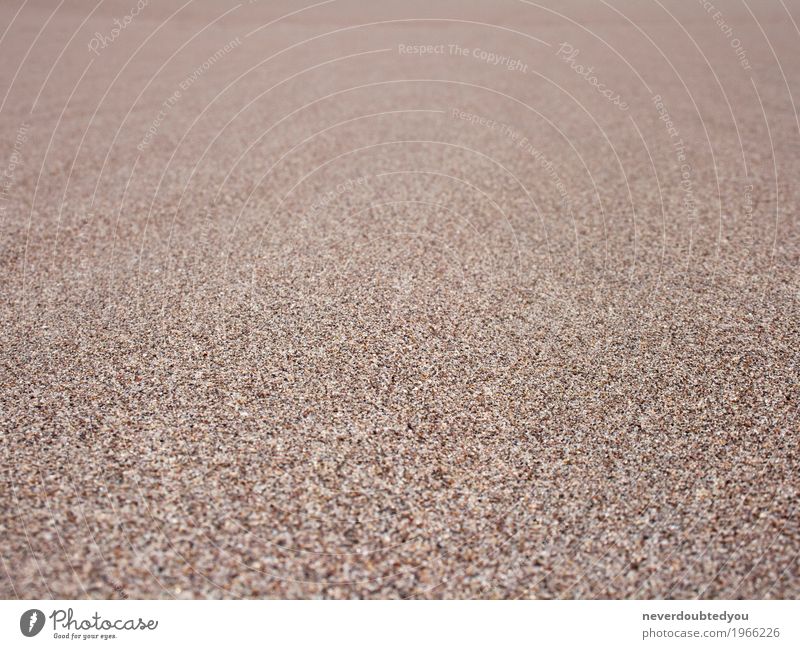 Strukturierter Hintergrund Sand Sommer Strand Umwelt Natur Urelemente Erde Wüste braun wüst Düne Farbfoto Außenaufnahme Nahaufnahme Detailaufnahme Makroaufnahme