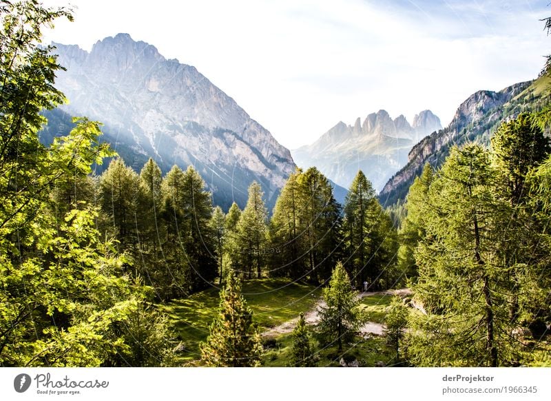 Wald mit Panorama in den Dolomiten Zentralperspektive Starke Tiefenschärfe Sonnenstrahlen Sonnenlicht Lichterscheinung Silhouette Kontrast Schatten Tag