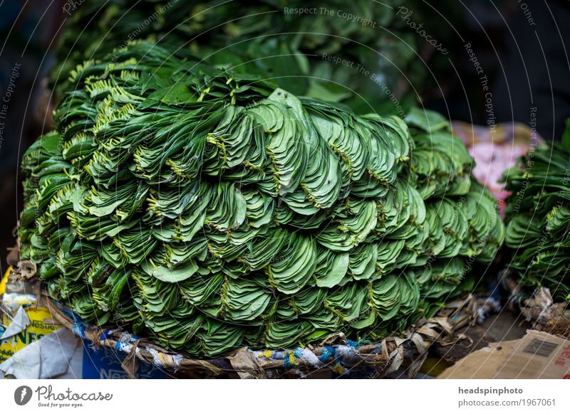 Betel Blätter auf einen Markt in Sri Lanka Kandy Asien kaufen verkaufen grün Betelblatt Marktstand Blatt Indien Landwirtschaft Stapel Kauen Farbfoto