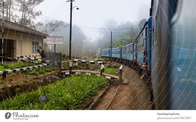 Zugfahrt in Sri Lanka Ferien & Urlaub & Reisen Tourismus Ausflug Abenteuer Ferne Freiheit Öffentlicher Personennahverkehr Bahnfahren Schienenverkehr Eisenbahn