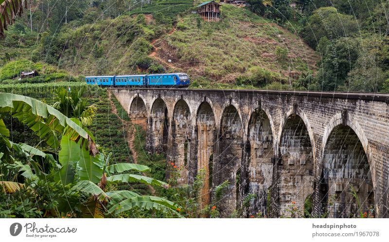 Demodara Nine-Arches-Bridge bei Ella, Sri Lanka Bauwerk Sehenswürdigkeit Wahrzeichen Denkmal Verkehrswege Öffentlicher Personennahverkehr