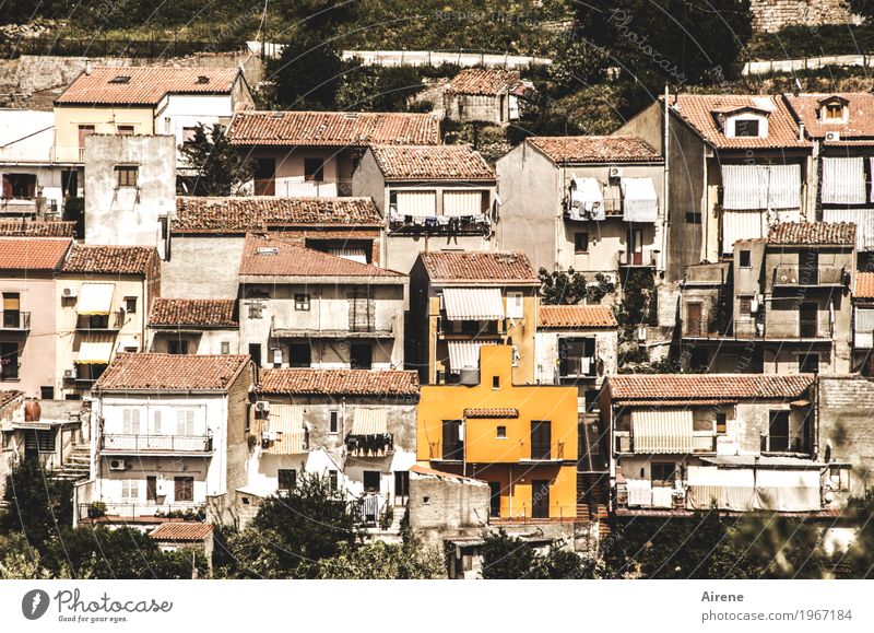 mutig, mutig... Häusliches Leben Haus Traumhaus Renovieren Italien Sizilien Dorf Kleinstadt Stadtrand Fassade streichen exotisch frech Fröhlichkeit einzigartig