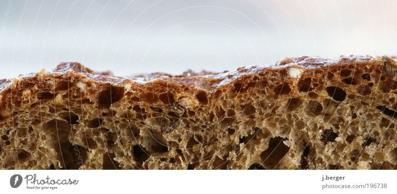 Bread Valley Lebensmittel Brot Ernährung außergewöhnlich einfach Gesundheit lecker braun gold genießen knusprig kross herzhaft Krustenbrot beige Brotscheibe