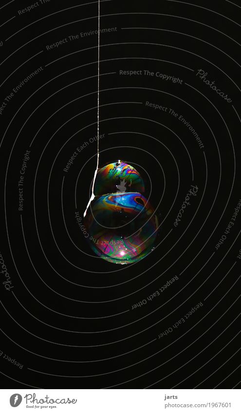 bubbles II Wasser hängen fantastisch Flüssigkeit rund Kreativität Seifenblase regenbogenfarben Nähgarn Schweben Farbfoto mehrfarbig Studioaufnahme Nahaufnahme