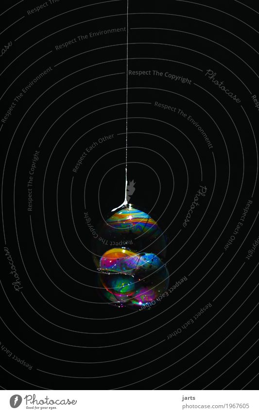 bubbles VII Wasser hängen Flüssigkeit frisch glänzend rund schön Kreativität Blase Seifenblase regenbogenfarben Nähgarn Farbfoto mehrfarbig Innenaufnahme
