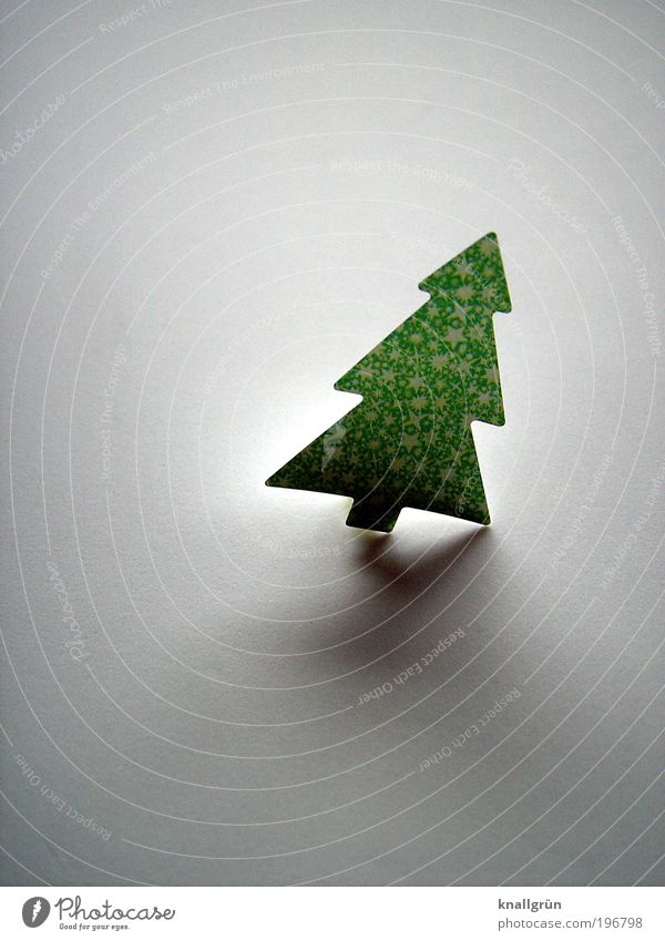 Nachzügler Baum Weihnachtsbaum leuchten grau grün Vorfreude geschmückt Schieflage Weihnachten & Advent Dezember 24. Dezember Farbfoto Gedeckte Farben