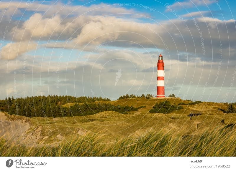 Leuchtturm in Wittdün auf der Insel Amrum Erholung Ferien & Urlaub & Reisen Tourismus Natur Landschaft Wolken Herbst Küste Nordsee Architektur Sehenswürdigkeit