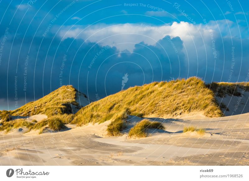 Landschaft mit Dünen auf der Insel Amrum Erholung Ferien & Urlaub & Reisen Tourismus Strand Meer Natur Sand Wolken Herbst Küste Nordsee blau gelb
