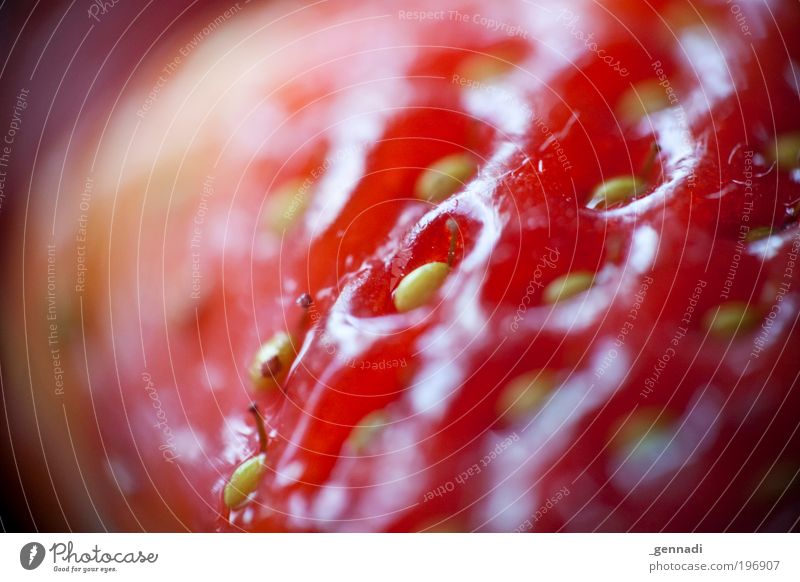 EEEEErdbeere Frucht Erdbeeren Makroaufnahme rot lecker Farbfoto Menschenleer Textfreiraum links Kontrast Schwache Tiefenschärfe