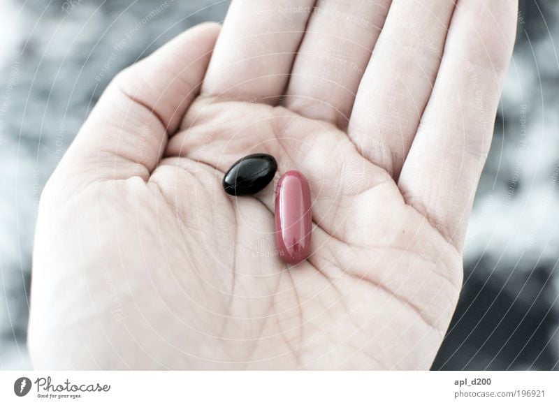 Schwarz oder Rot? Lebensmittel Ernährung Mensch maskulin Hand 1 liegen ästhetisch authentisch rot schwarz Freude Glück vernünftig Tablette Krank Wahlen