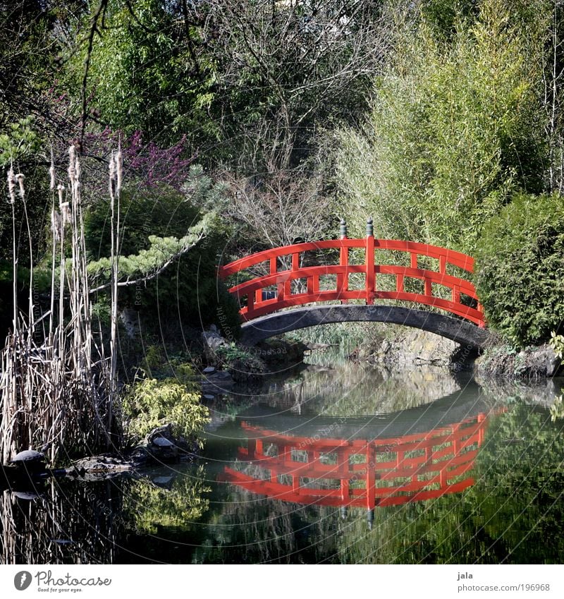 little bridge Natur Wasser Schönes Wetter Pflanze Baum Sträucher Garten Park Teich See Brücke ästhetisch rot China Asien Farbfoto Außenaufnahme Menschenleer Tag
