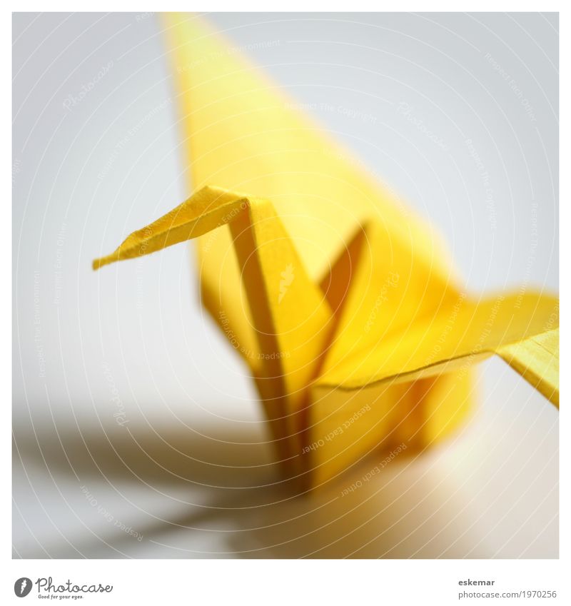 Origami Kranich Freizeit & Hobby Spielen Basteln Handarbeit Vogel 1 Tier Papier ästhetisch elegant Freundlichkeit Fröhlichkeit positiv gelb weiß Frieden