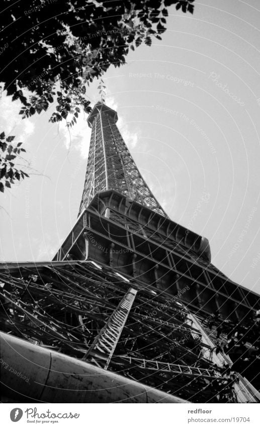 eiffelturm paris Tour d'Eiffel Paris Gebäude Architektur Schwarzweißfoto