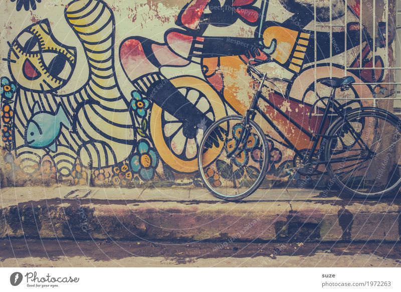 Radstand Städtereise Haus Fahrrad Kunst Kultur Stadt Stadtrand Altstadt Fassade Katze Graffiti alt Armut dreckig niedlich retro Vergangenheit Vergänglichkeit